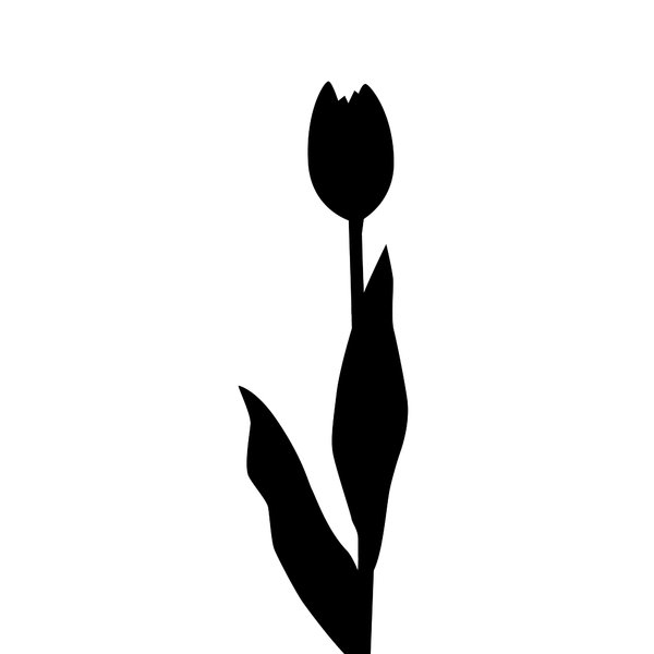 silhouette tulip