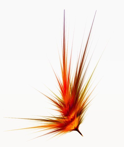 Phoenix Feather, abstract