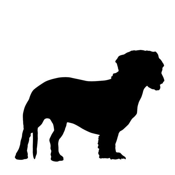 Silhouettes dachshund