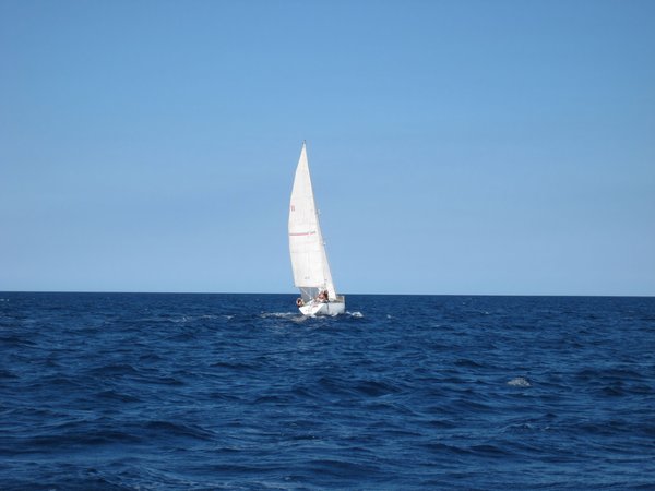 white sail