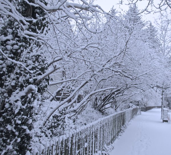 snowy winter scenery