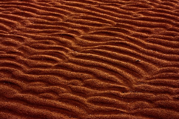 Sand Ridges Texture