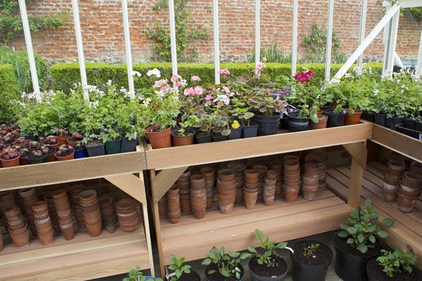 Free Stock Photos Rgbstock Free Stock Images Greenhouse Plant 