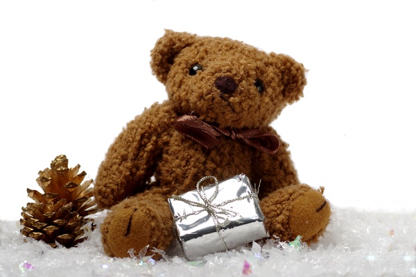Teddybear with present