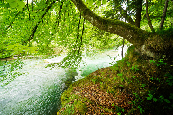 Natural River