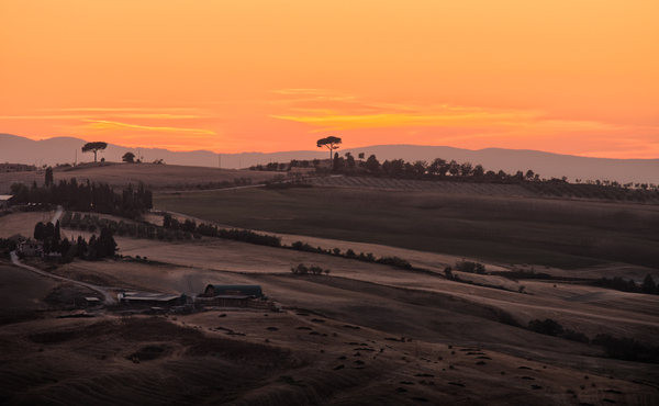 Tuscany Farm at Sunset