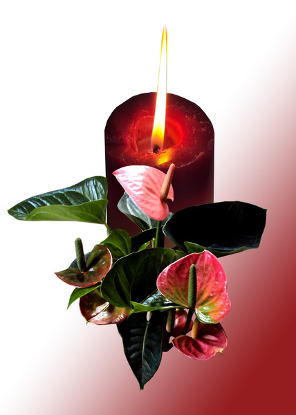 Red candle with foliage