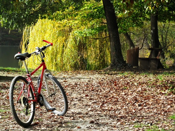 bike in autumn