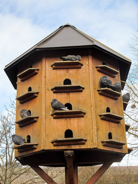 wooden dove house