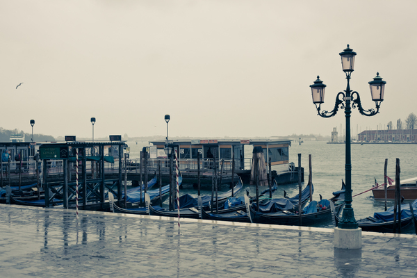 Scene from St Marks in Venice 