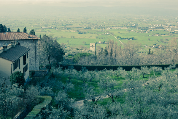 Scene from Assisi 1