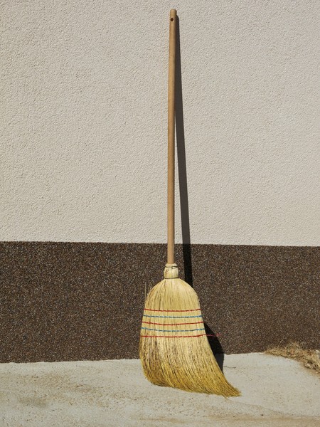 common broom
