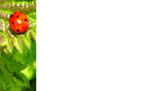 Nature Banner 4