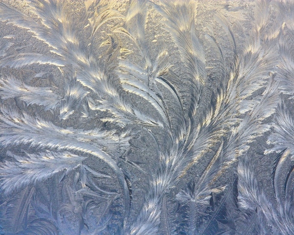 Frosty patterns 4