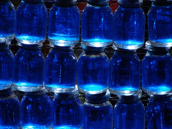 Blue Bottles 4
