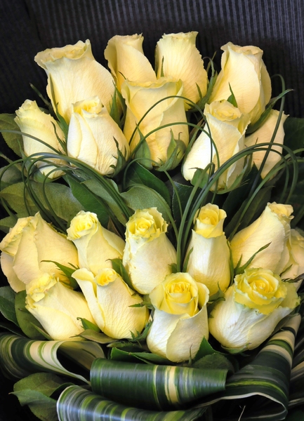 yellow cream roses
