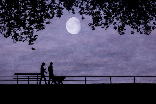 A walk under the moonlight