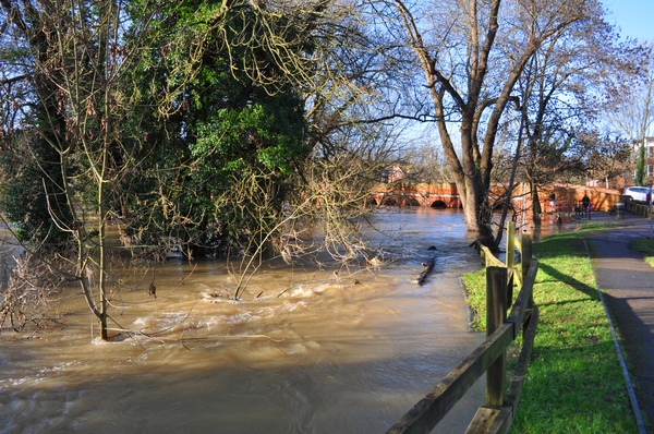 Flooded River Mole