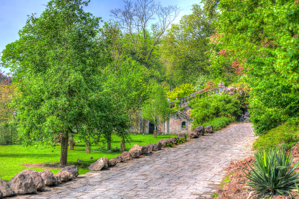 HDR of a path and trees