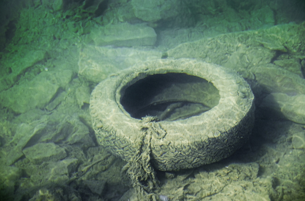 old tire in water