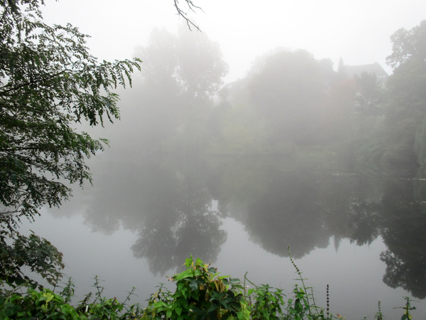 lake in autumn fog 2