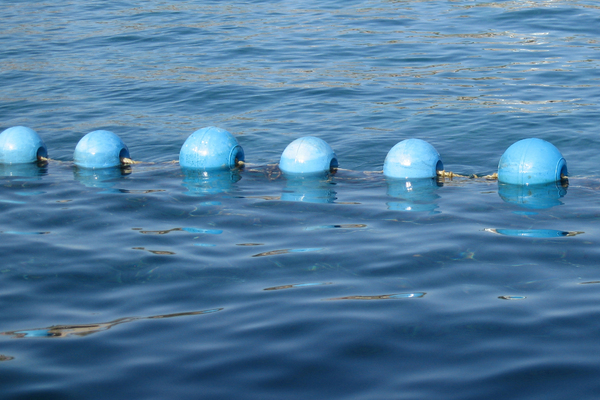 Blue buoys 1