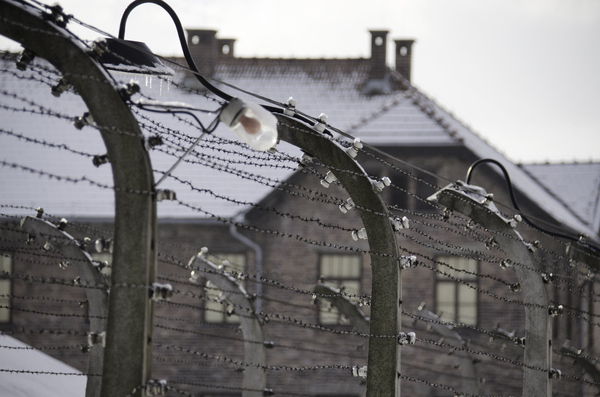 Auschwitz 9