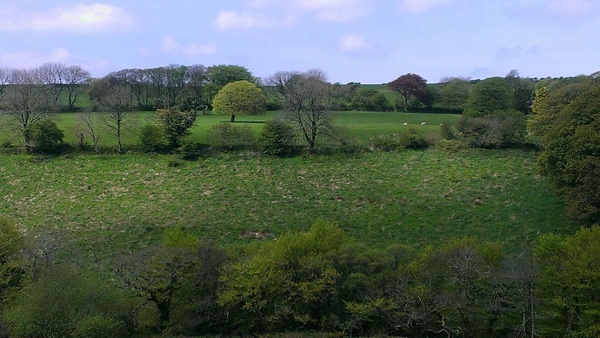 Cornish Countryside