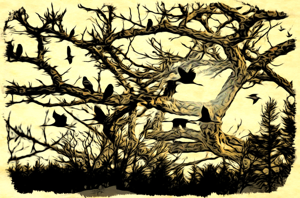 birds and tree