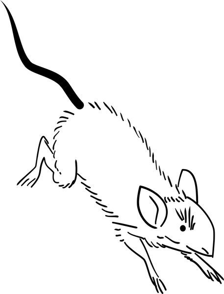 Running Rat