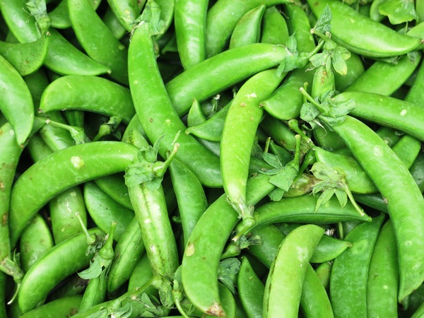 Green beans vegetables