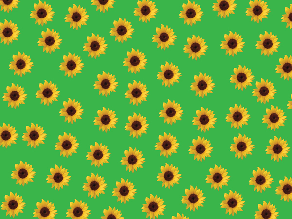 Sunflowers background 3