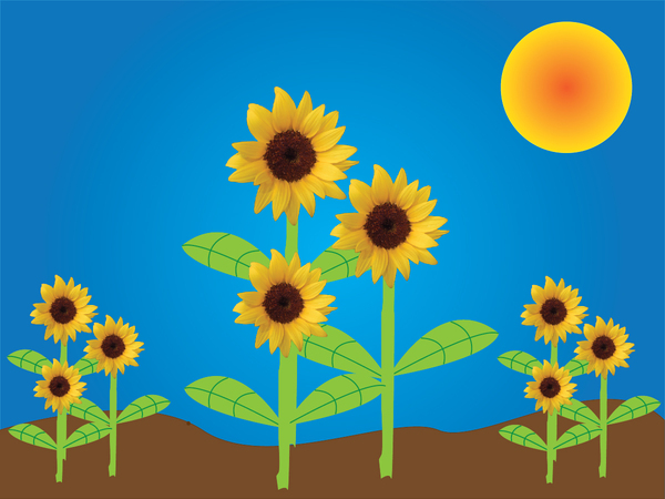 Sunflower Scene 2