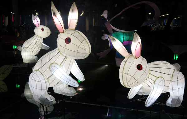 Rabbit lanterns