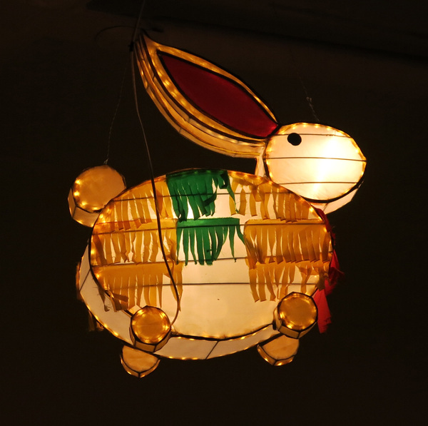 Lantern rabbit