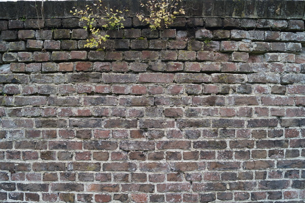 Brick wall21