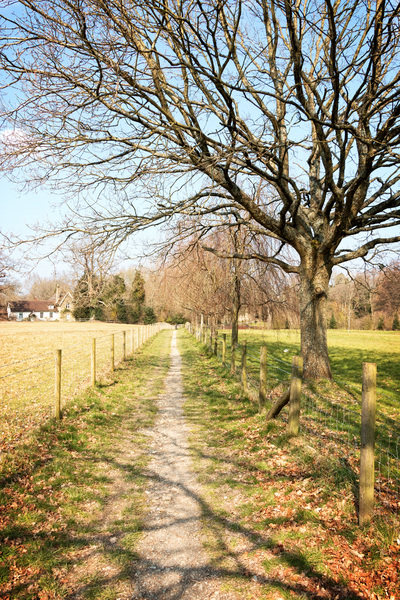 Countryside footpath