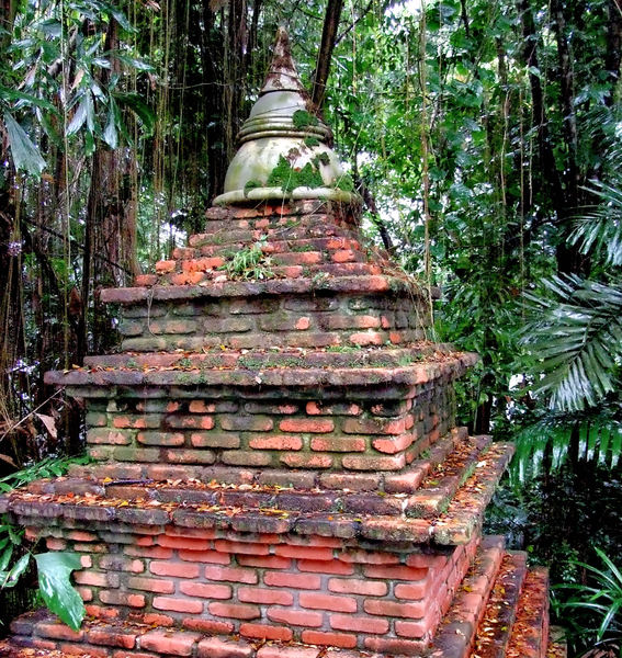 jungle pagoda in the rain1