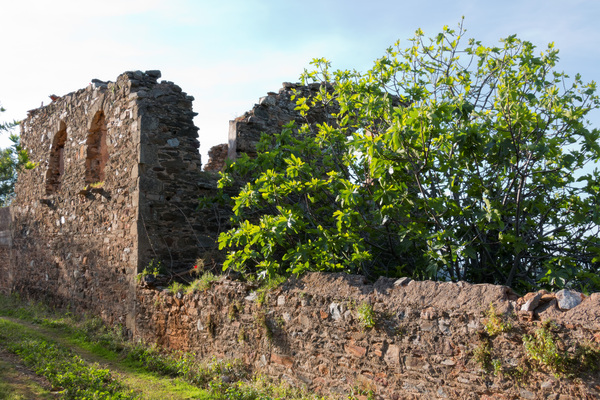 Old ruins