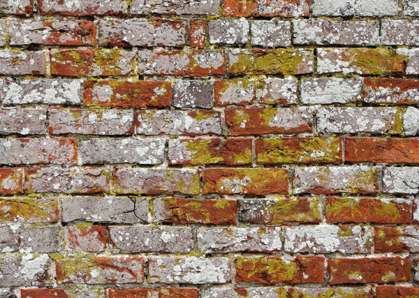 Victorian Brick Wall.