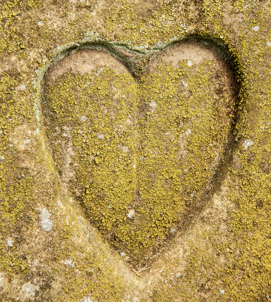 Lichen Heart