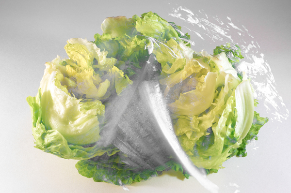 lettuce 43435