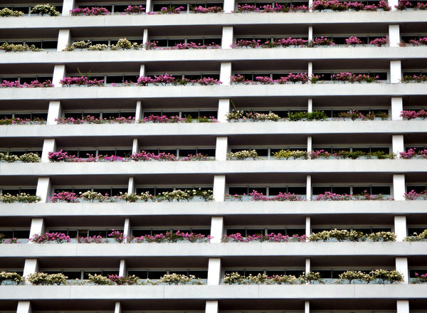 blooming balconies2