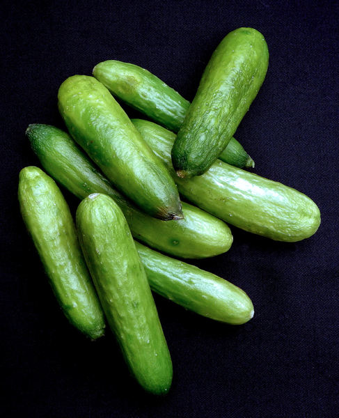 cucumber varieties4