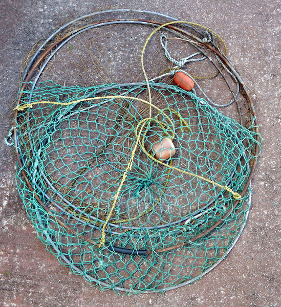 crabbing nets1