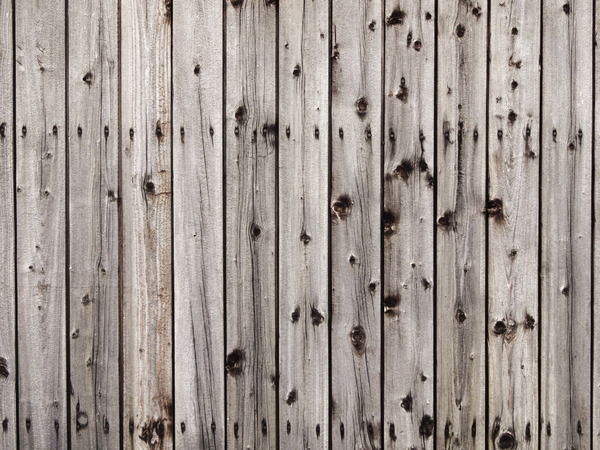 Wooden Shed Wall