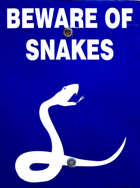 snake danger1