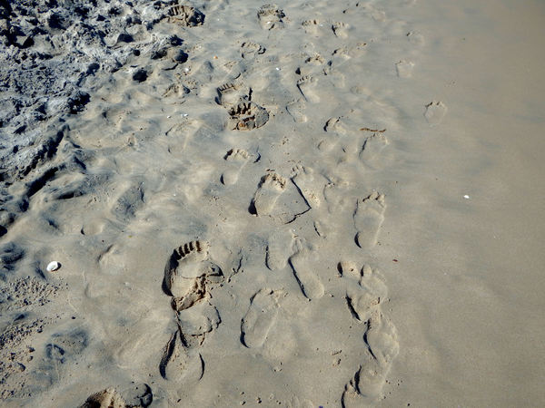 footprints in the sand1