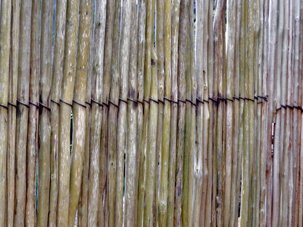 stick fence1