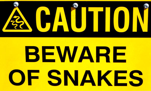 snake caution1